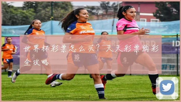 世界杯彩票怎么买？天天彩票购彩全攻略