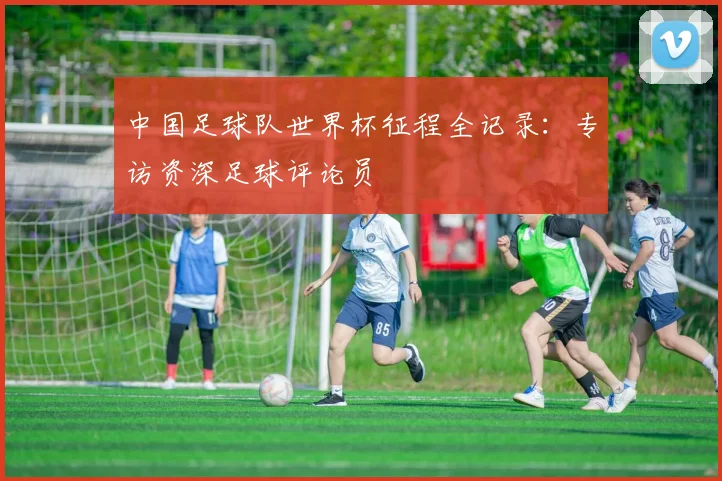 中国足球队世界杯征程全记录：专访资深足球评论员
