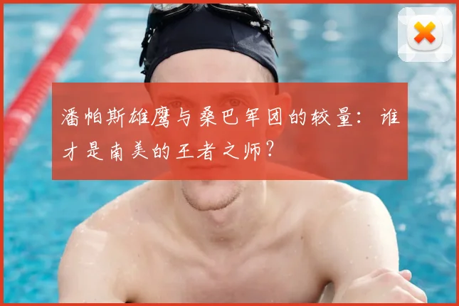 潘帕斯雄鹰与桑巴军团的较量：谁才是南美的王者之师？