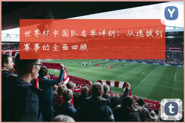 世界杯中国队名单详析：从选拔到赛事的全面回顾
