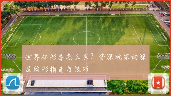 世界杯彩票怎么买？资深玩家的深度购彩指南与技巧