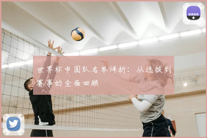 世界杯中国队名单详析：从选拔到赛事的全面回顾