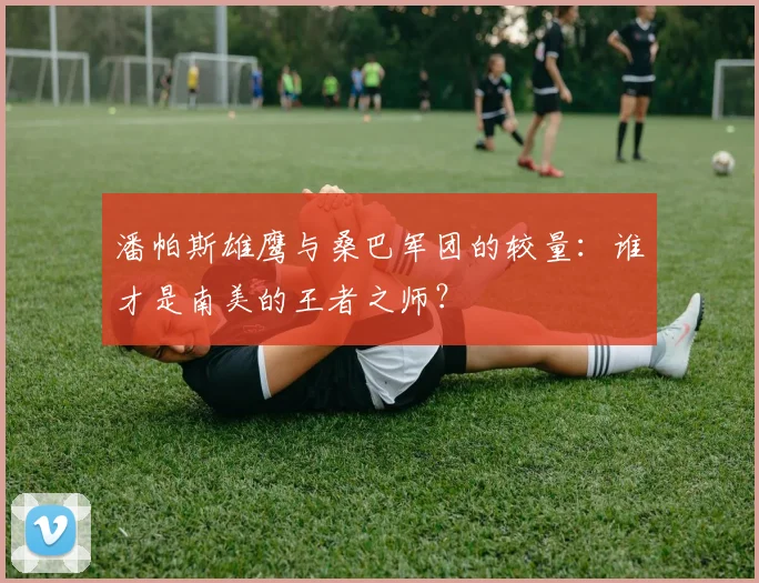 潘帕斯雄鹰与桑巴军团的较量：谁才是南美的王者之师？