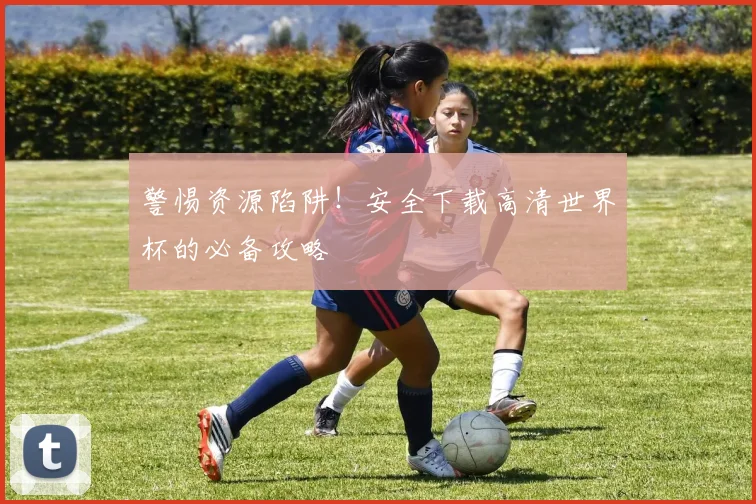 警惕资源陷阱！安全下载高清世界杯的必备攻略
