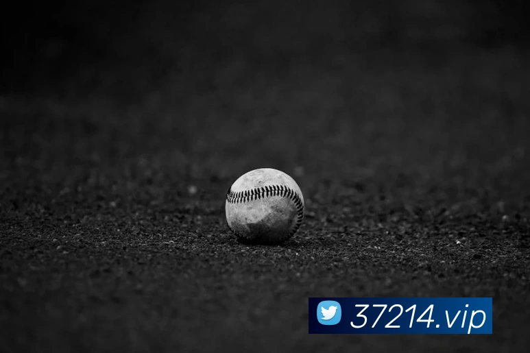 深度解析世界杯篮球赛:黑马球队如何改写历史格局